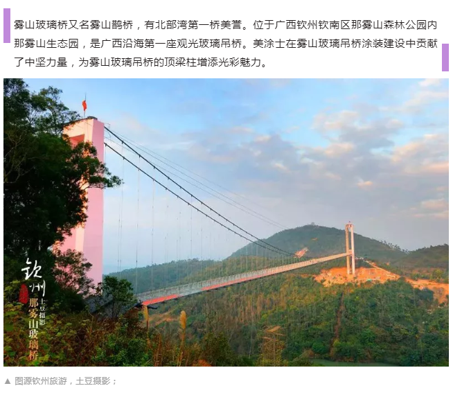 尊龙新版人生就是博!(中国)官方网站