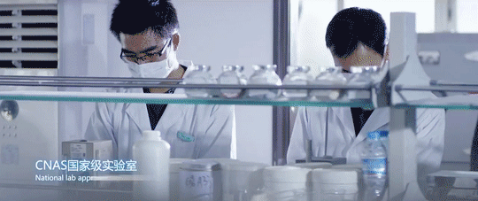 尊龙新版人生就是博!(中国)官方网站