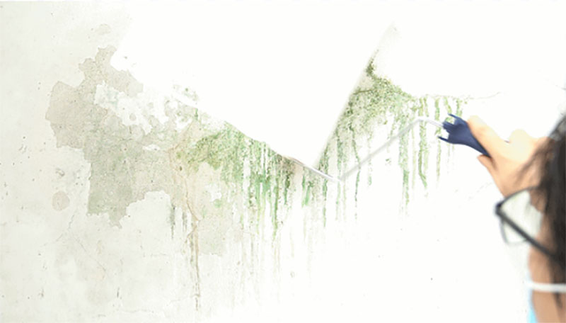 尊龙新版人生就是博!(中国)官方网站