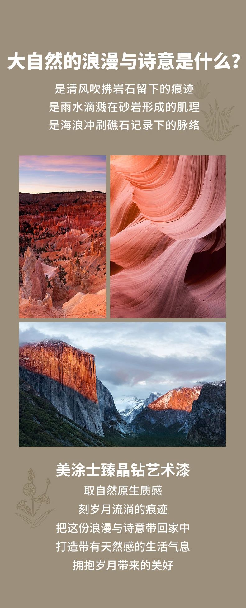 尊龙新版人生就是博!(中国)官方网站