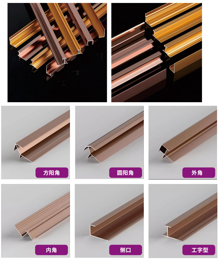 尊龙新版人生就是博!(中国)官方网站