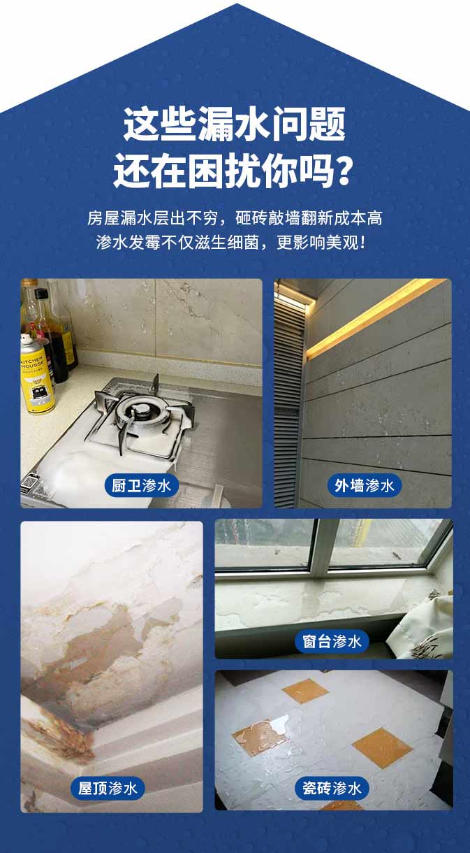 尊龙新版人生就是博!(中国)官方网站